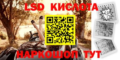 СК Краснодар