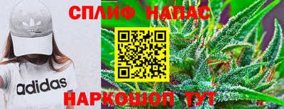 СК Краснодар